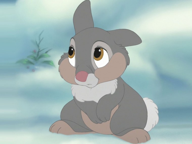 Смешной заяц