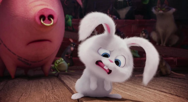 Обои с зайчиками для детской