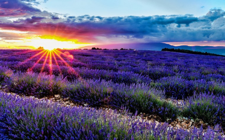 Планшет DEXP Ursus