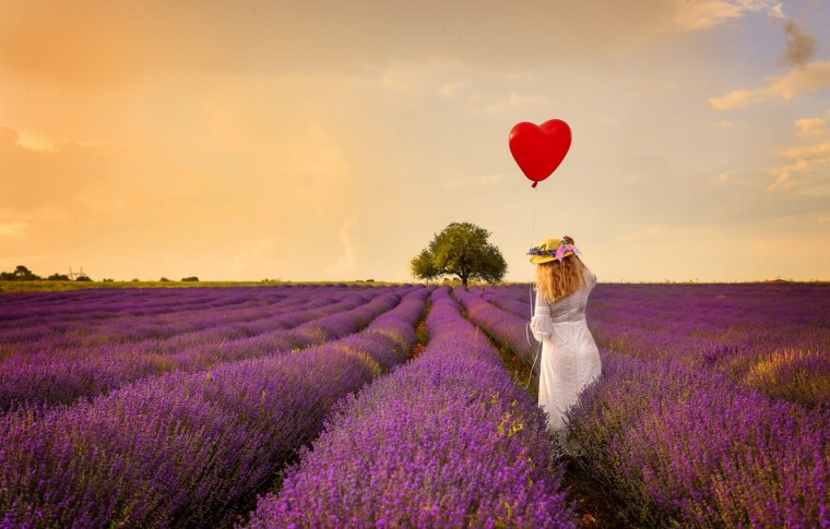 Прованс Альпы Лазурный берег Франция