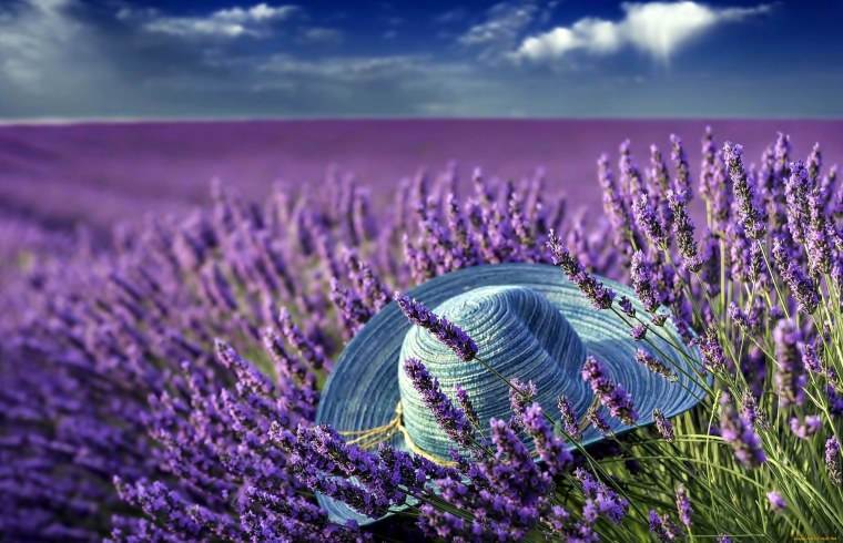 Лаванда Валенсоль