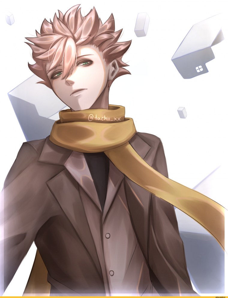 Акихито нарихисаго