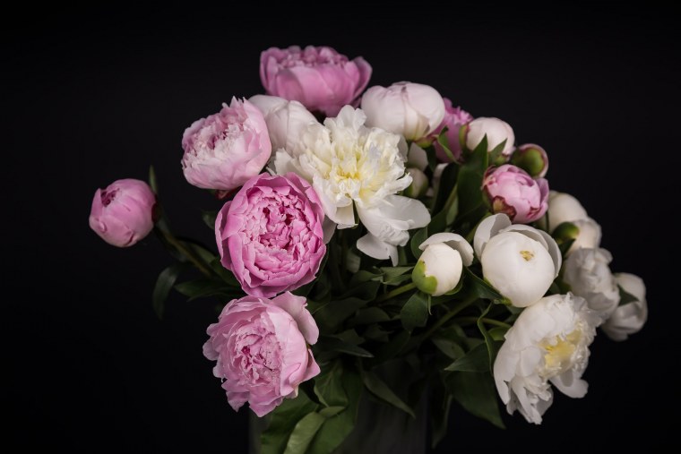 Пионы Сара.Флеминг