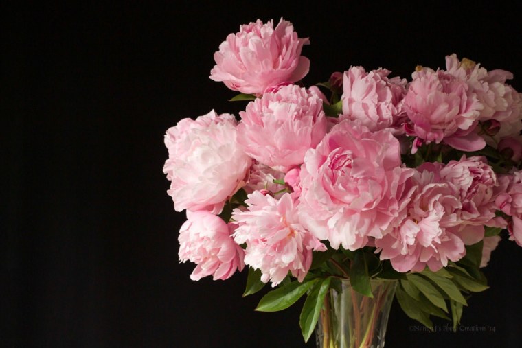 Фреска пионы