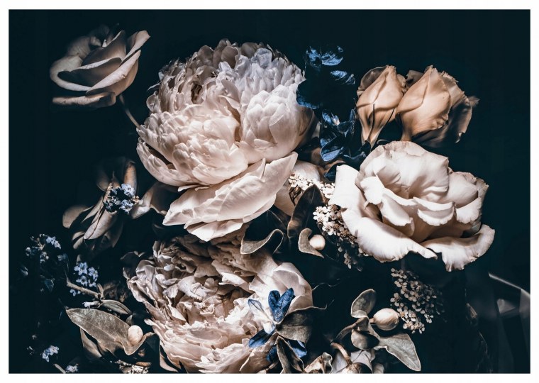 Цветы на черном фоне