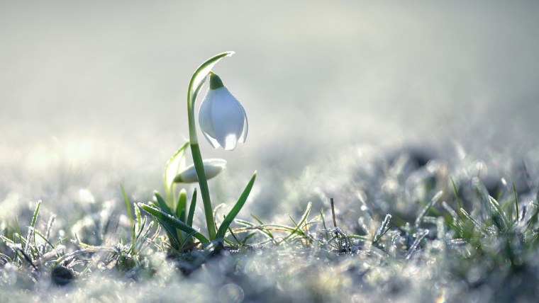 Ранняя Весна