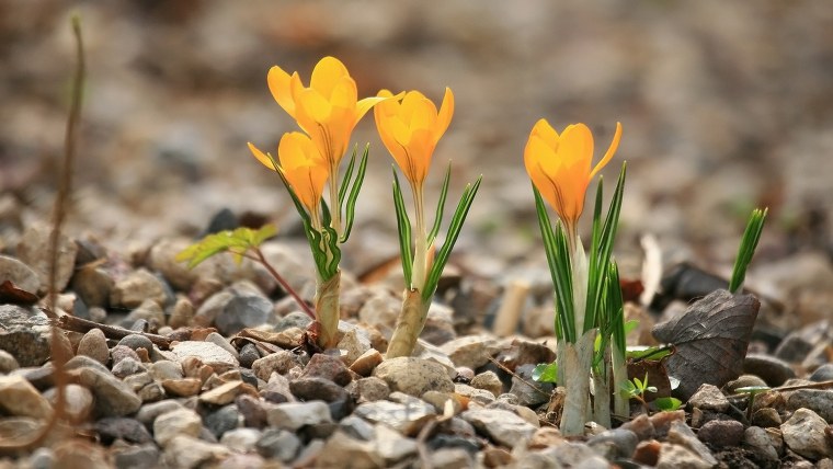 Март картинки