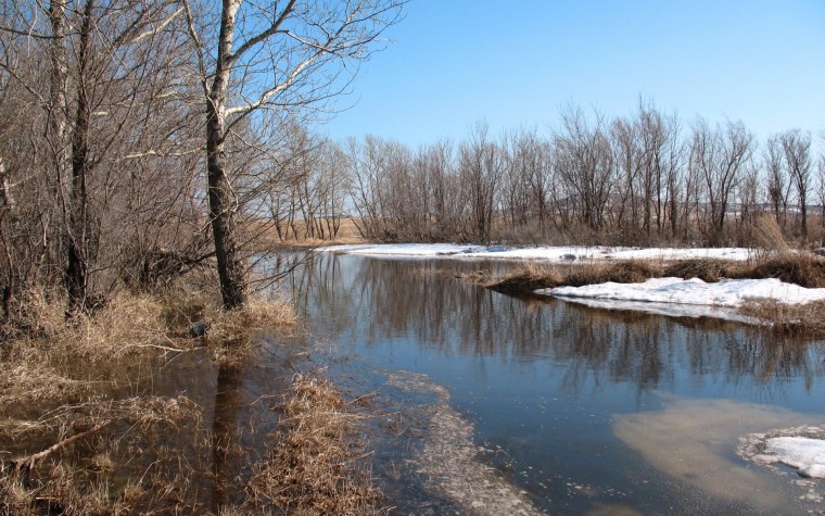 Весенняя река