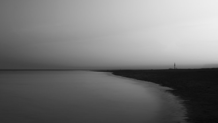 Лес в тумане