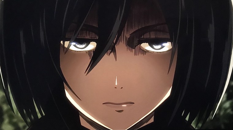 Микаса Аккерман 4