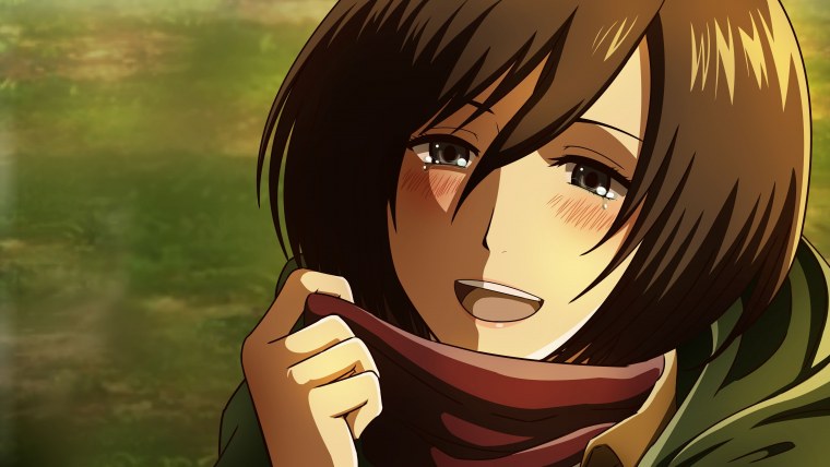 Mikasa 18