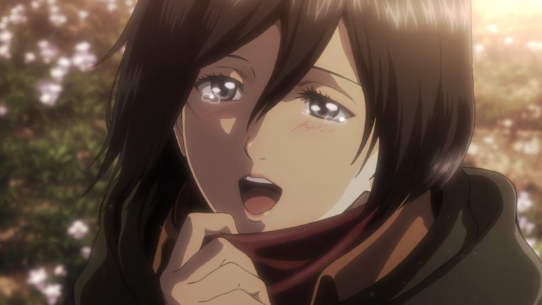 Микаса Аккерман