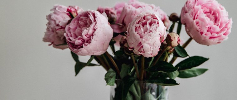 Пион адам Модзеле