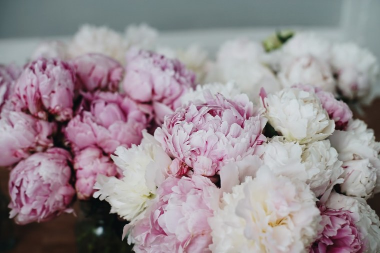 Пионы букет Эстетика