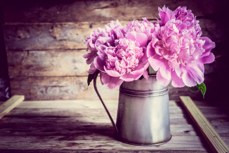 Розовые пионы