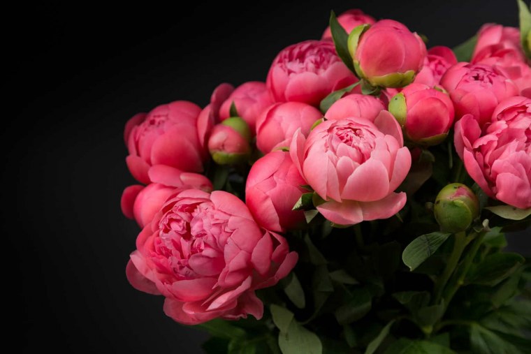 Цветок "пион"