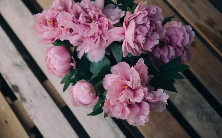 Букет пионов на черном фоне