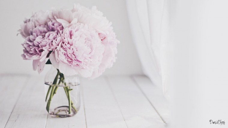 Нюдовые пионы