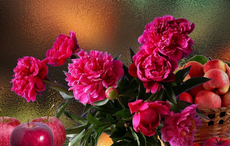 Нежнейшие пионы (Таня Шашкина)