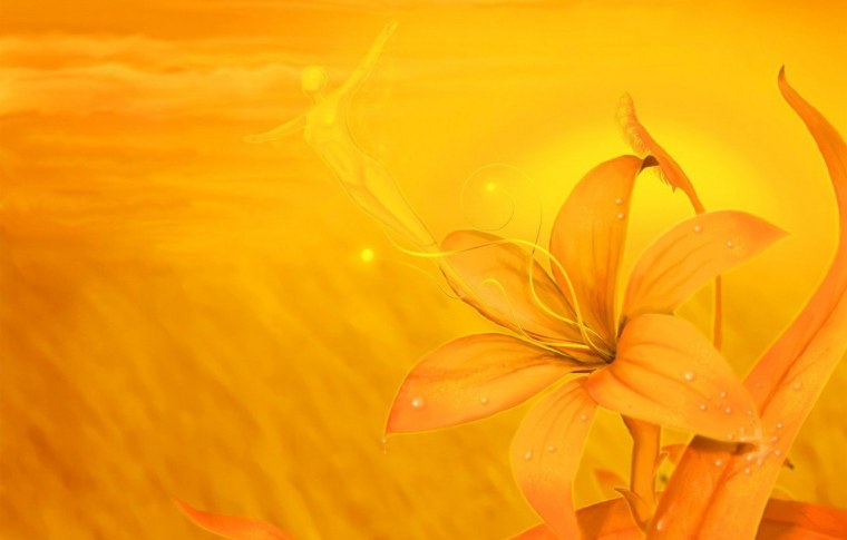 Красивые желтые цветы