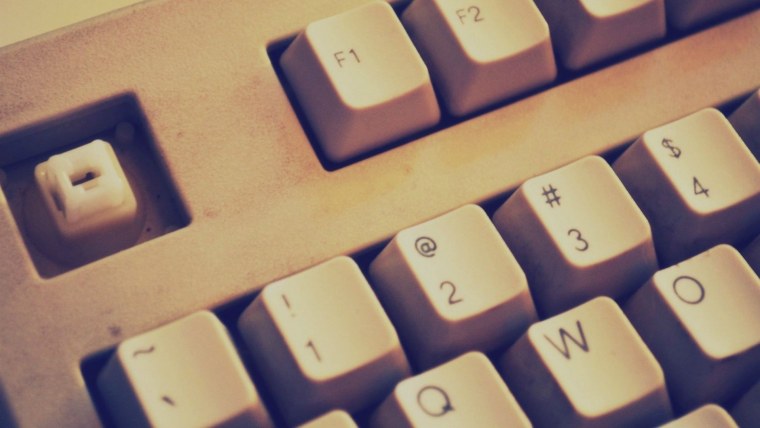 Папоротник фон