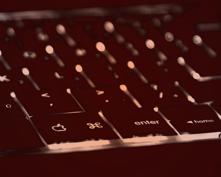 Обои с кактусами