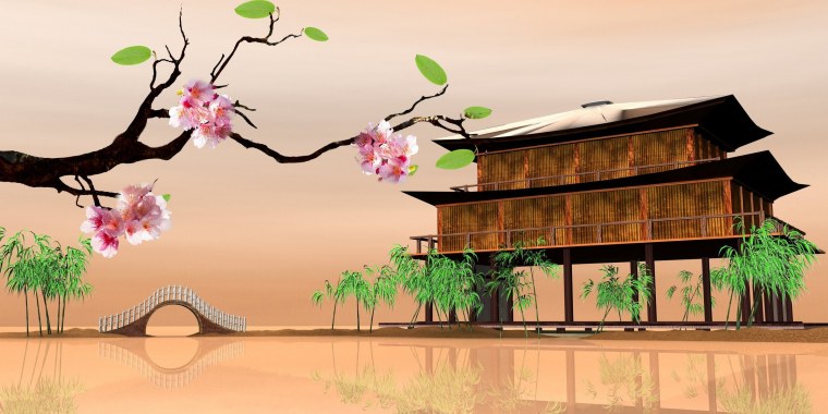 Ветка Сакуры