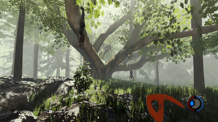 Форест из игры