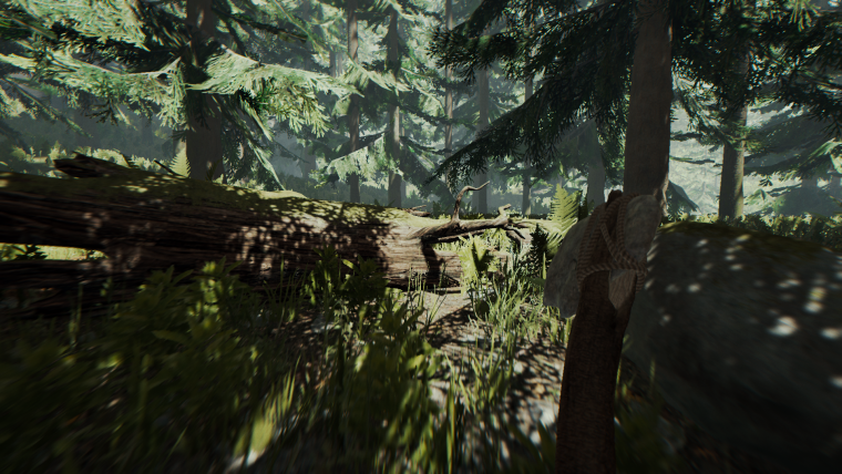 The Forest игра на ps4