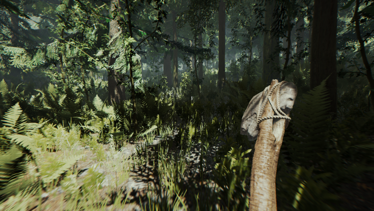 Зе Форест 2020