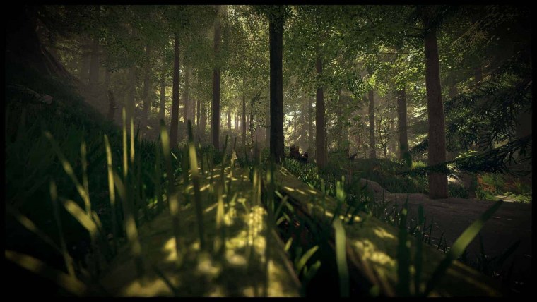 The Forest