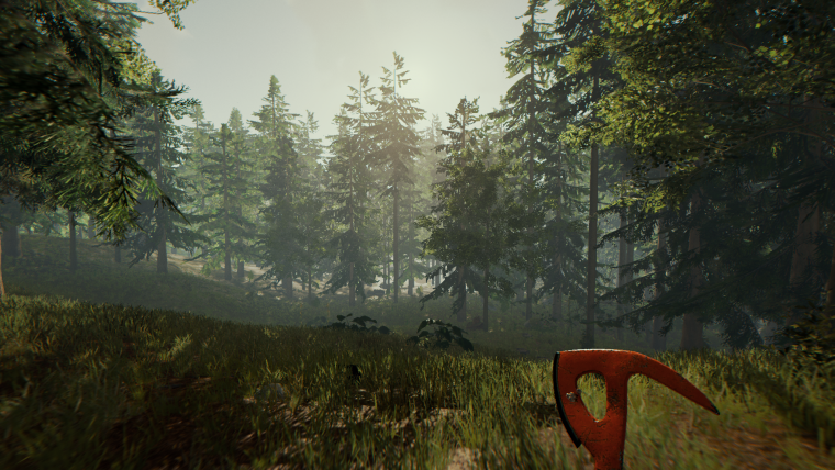 The Forest обложка игры