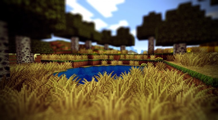 Пшеничное поле в МАЙНКРАФТЕ