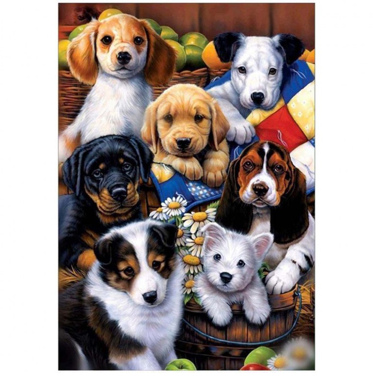 Хаус животных на аву