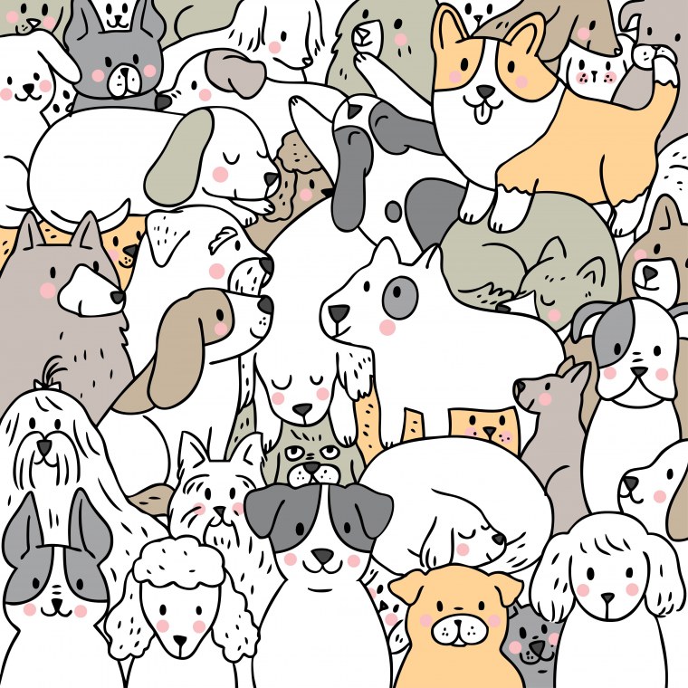 Забавные домашние животные