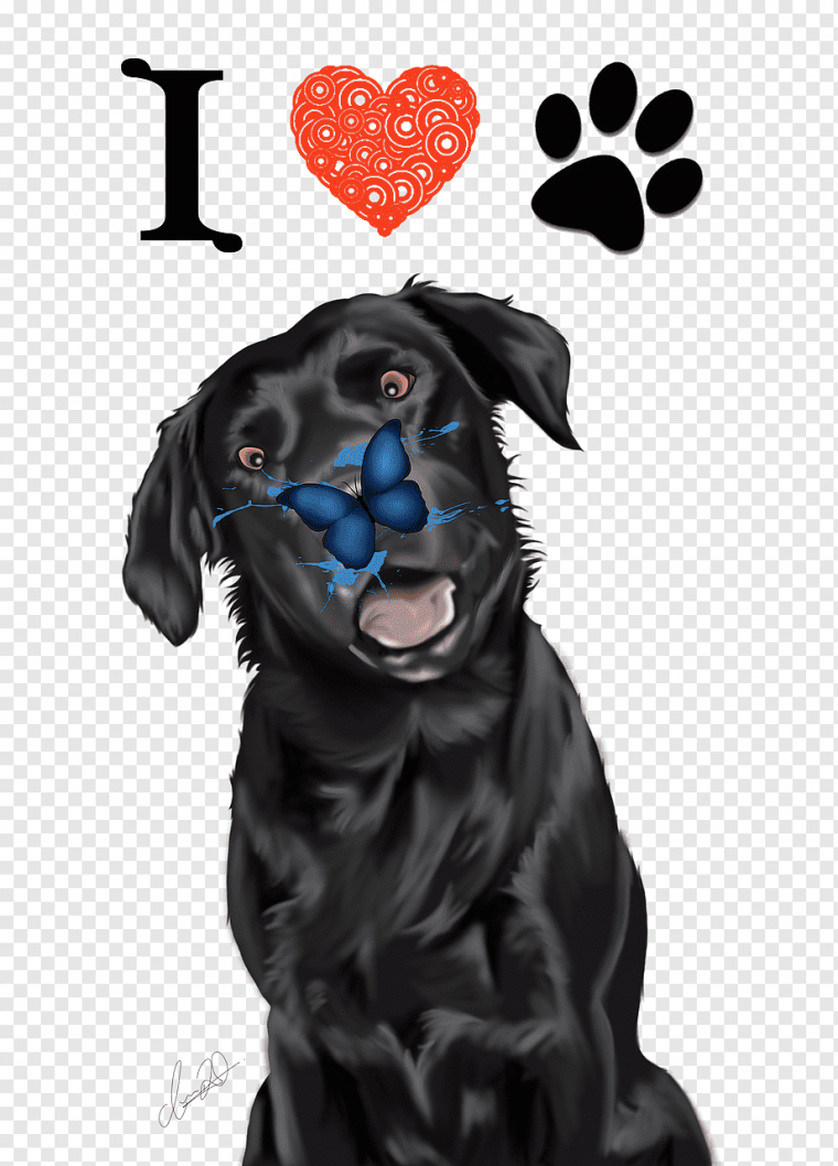 Много собак