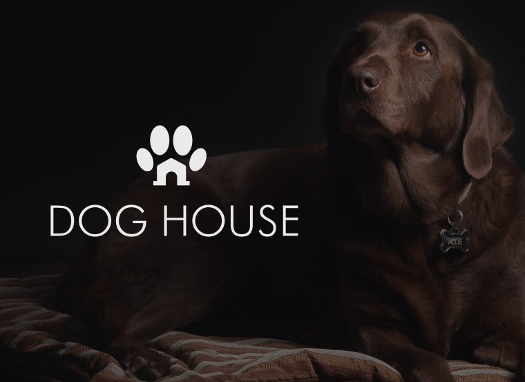 Ава для собачьего хауса