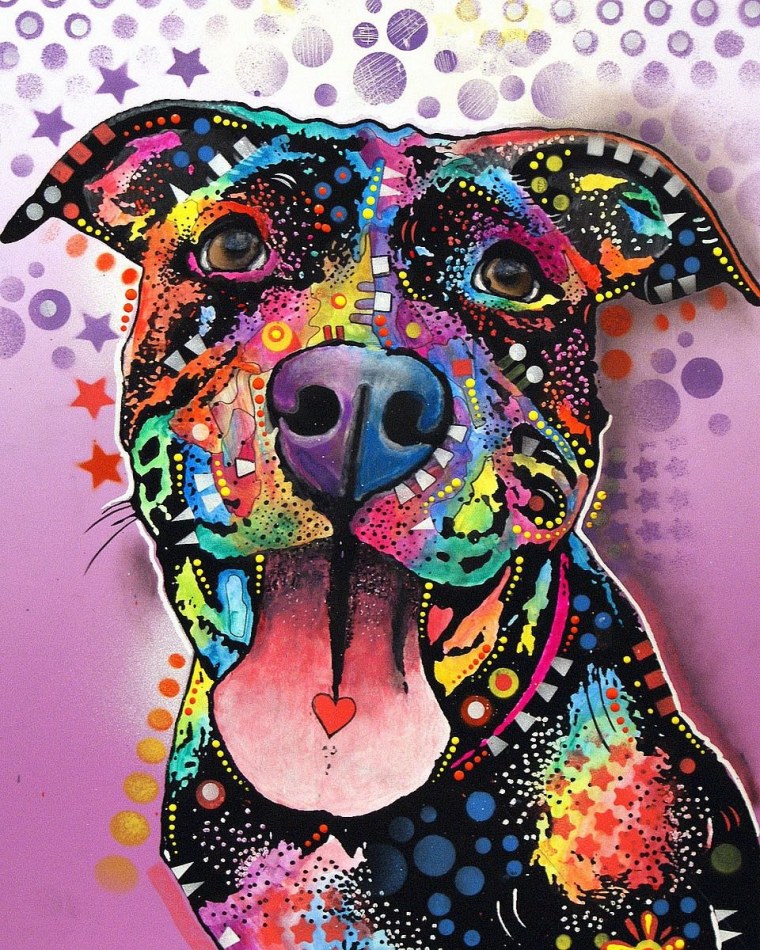 Бездомные кошки и собаки