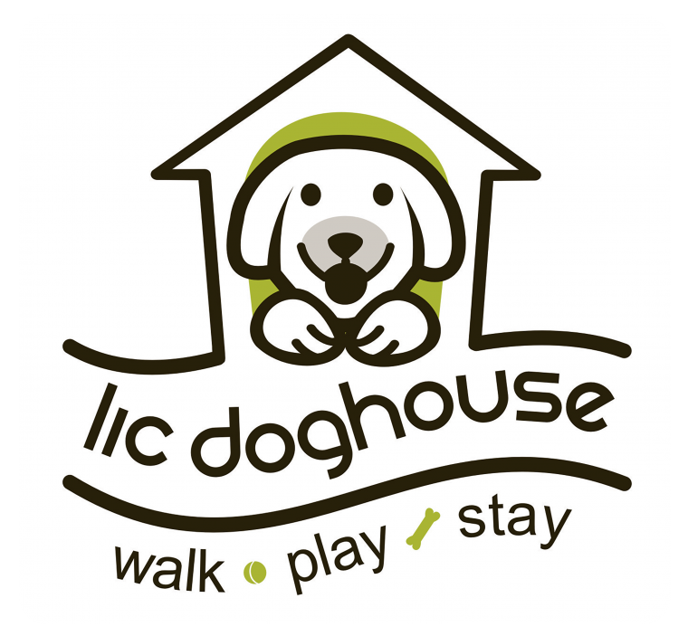 Бордер колли семья