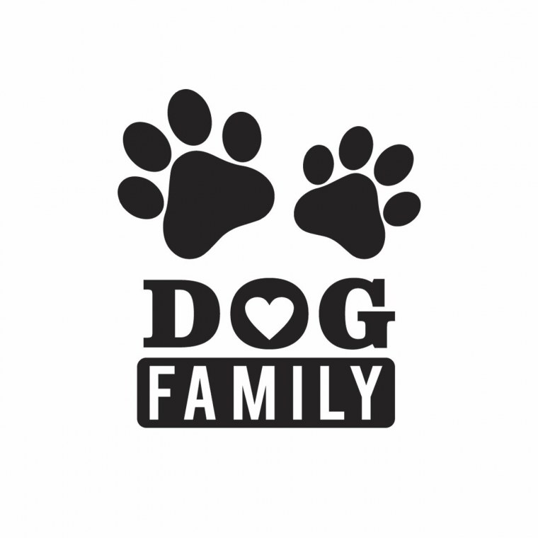 Домашние животные в доме