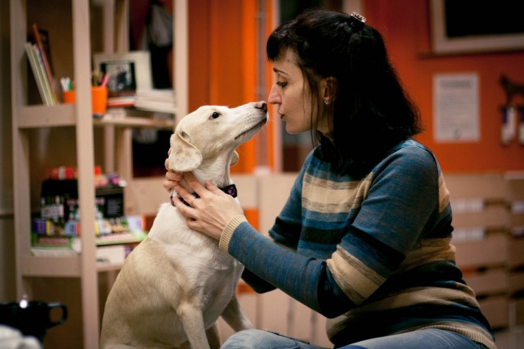 Домашние животные