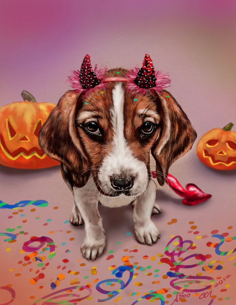 Домашние любимцы