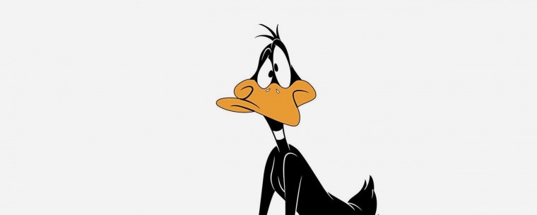 Утиные истории Поночка Понка