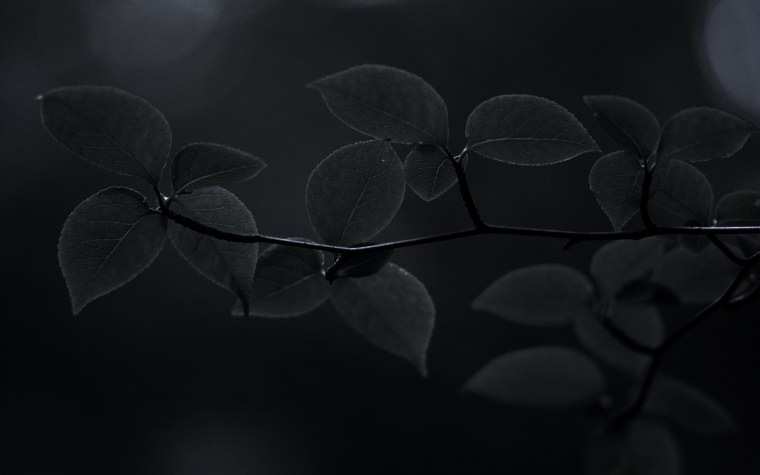 Обои на рабочий стол темные