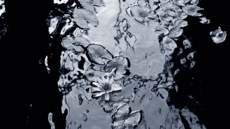 Черно белые картины