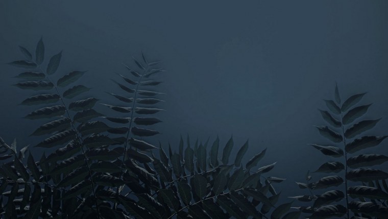 Минимализм Эстетика