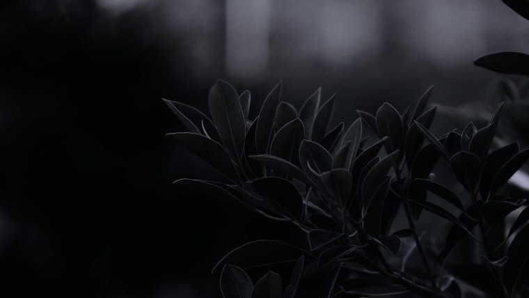 Обои на рабочий стол темные