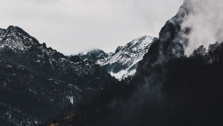 Серые цветы