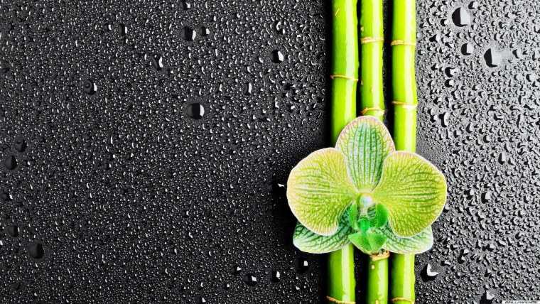 Интересные обои на экран блокировки