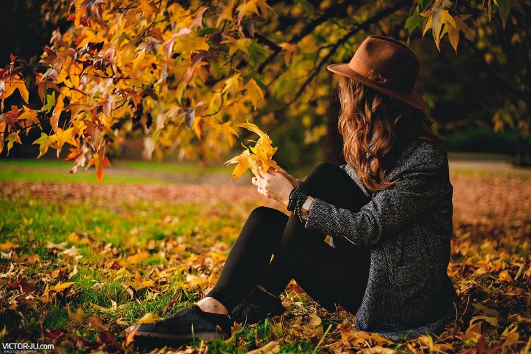 ВАНГОГВОМНЕ картина по номерам "осенний вальс", 40х50 см